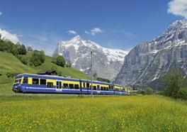 Berner Oberlandbahn, im Hintergrund Berge