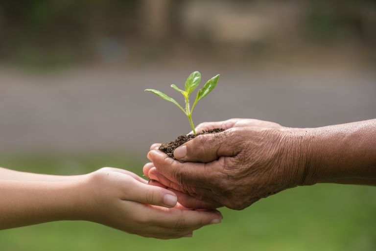 hands giving earth and a groving plant into other hands