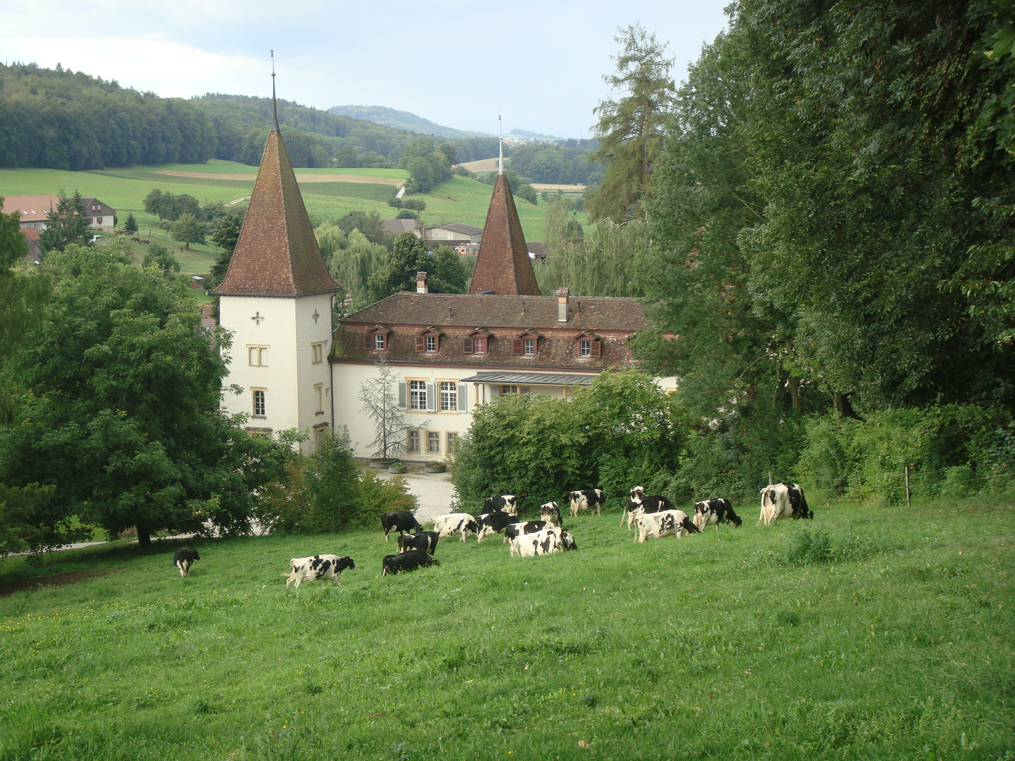 Schloss Münchenwiler